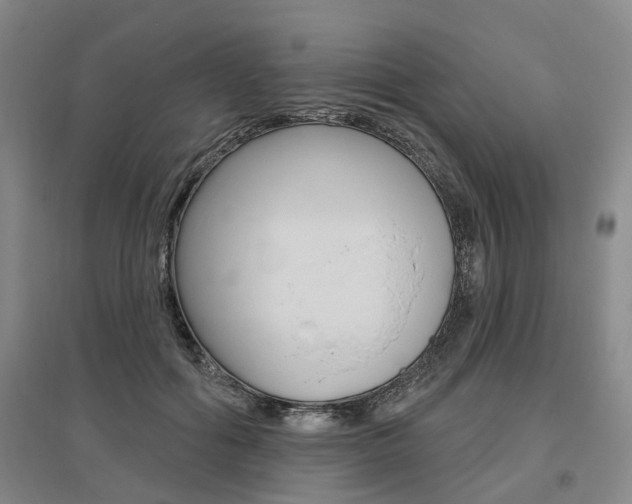 X0000095880602200801110806