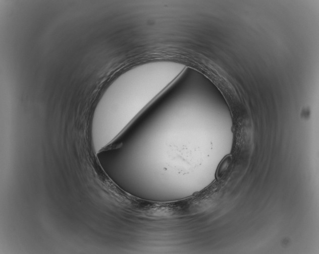 X0000095880604200801110806