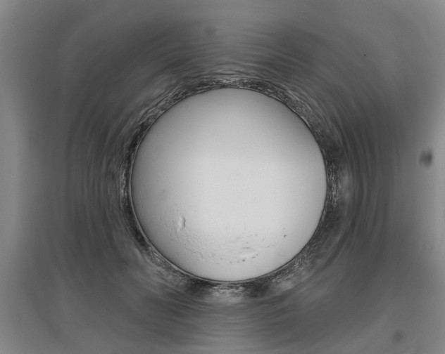 X0000095880606200801110806