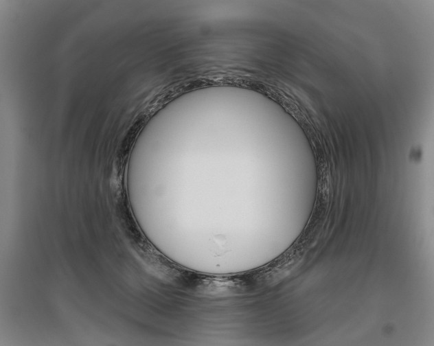 X0000095880607200801110806