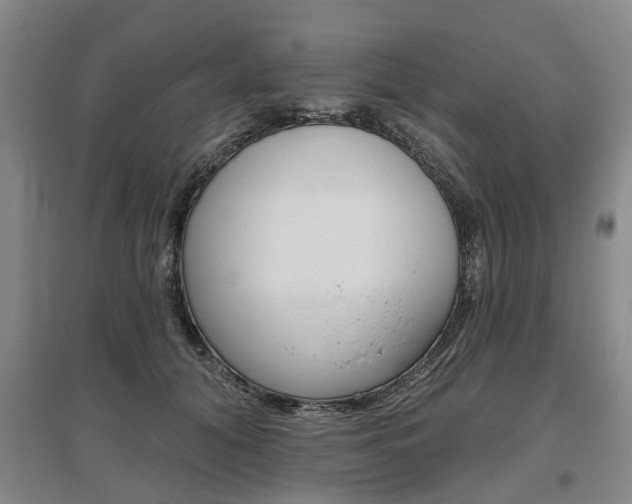 X0000095880608200801110806