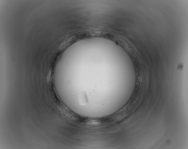 X0000095880610200801110806