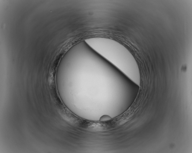X0000095880611200801110806