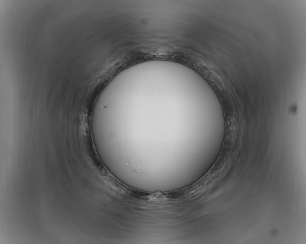 X0000095880612200801110806