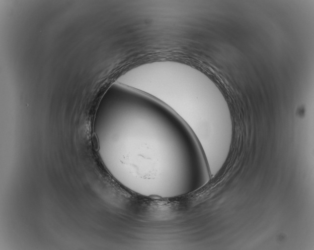X0000095880613200801110806