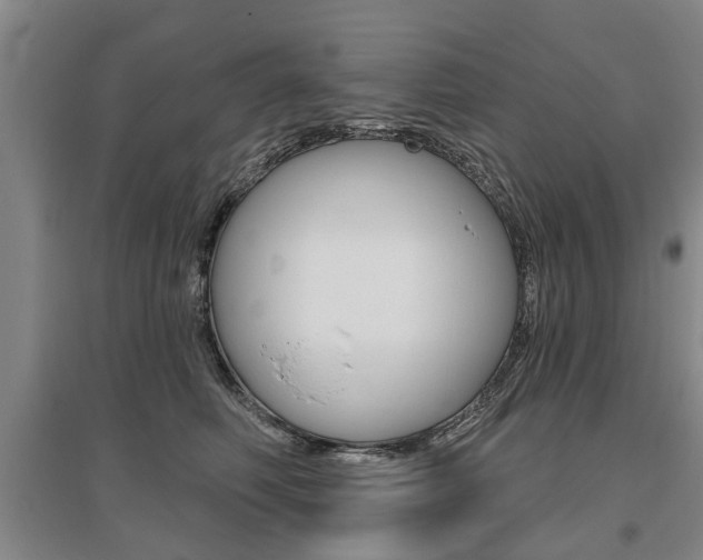 X0000095880614200801110806