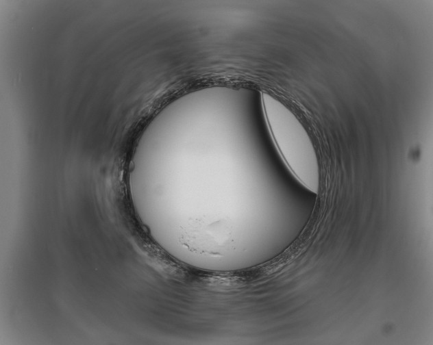 X0000095880615200801110806