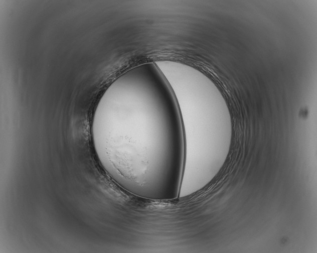X0000095880617200801110806