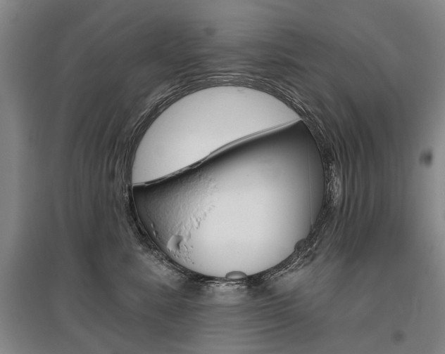 X0000095880619200801110806