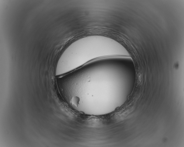 X0000095880620200801110806