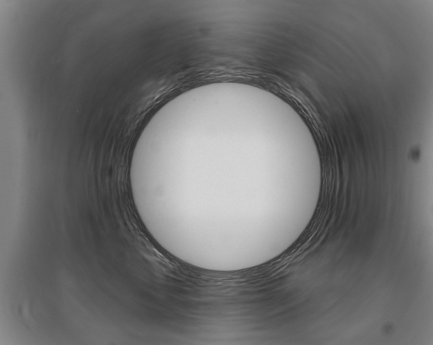X0000095880621200801110806