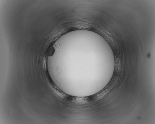 X0000095880622200801110806