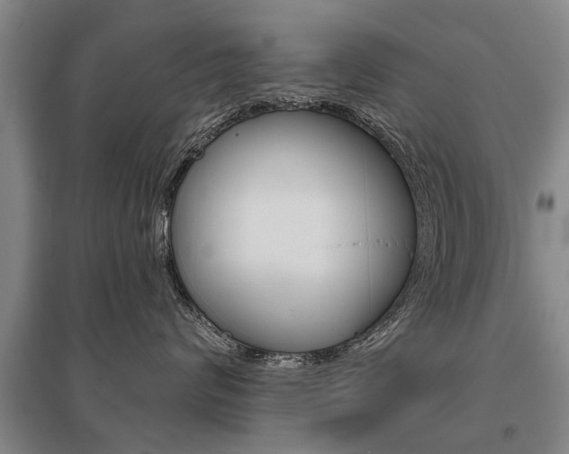 X0000095880624200801110806