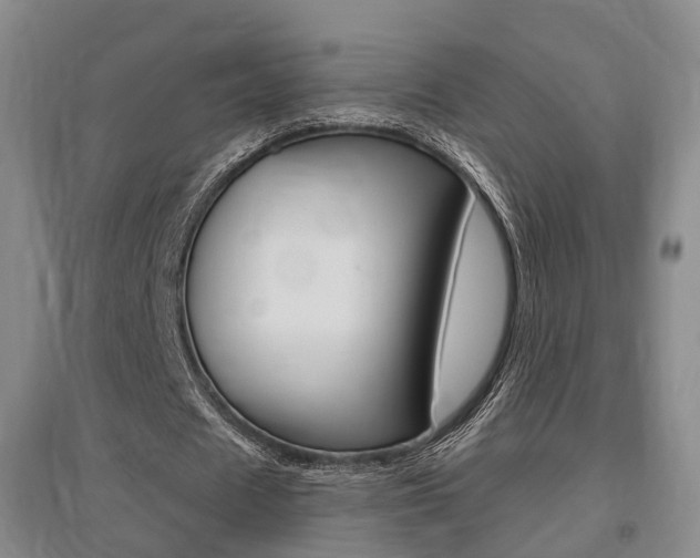 X0000095880625200801110805