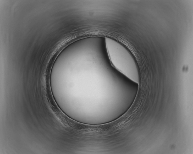 X0000095880626200801110805