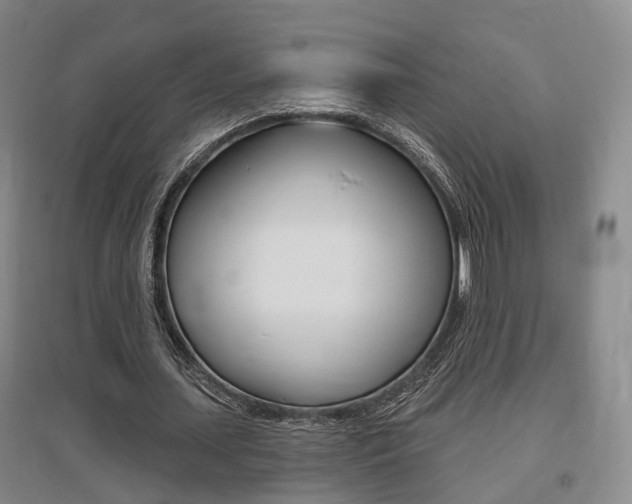 X0000095880627200801110805