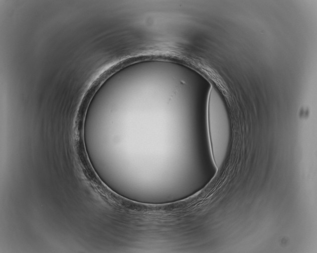 X0000095880628200801110805