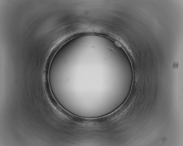 X0000095880629200801110805