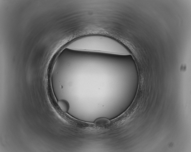 X0000095880630200801110805