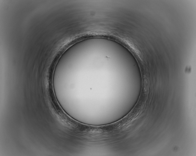 X0000095880631200801110805