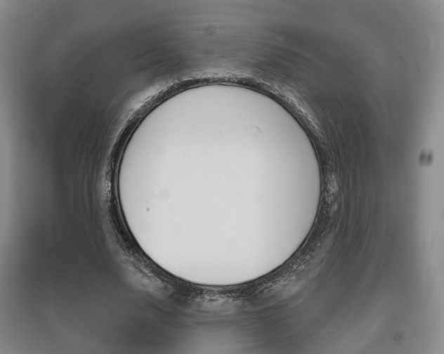 X0000095880632200801110805