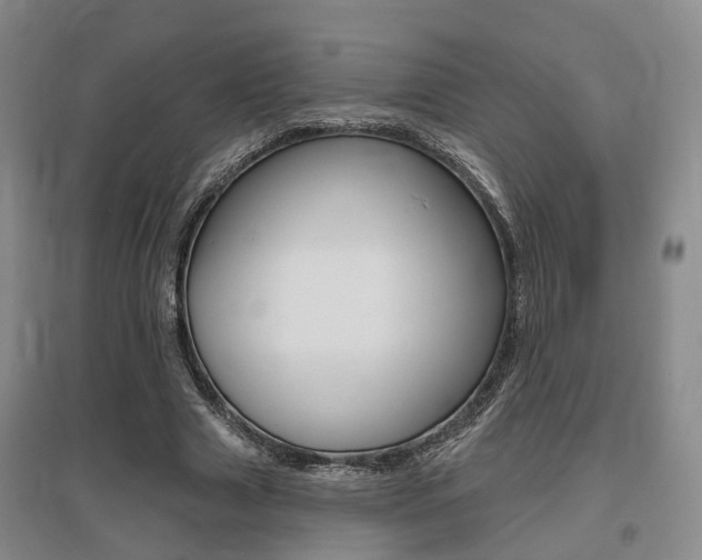 X0000095880633200801110805
