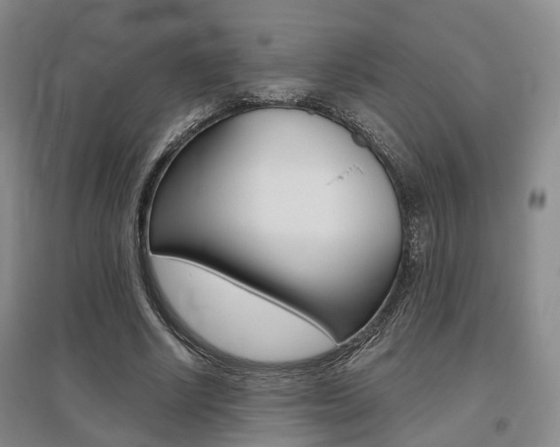 X0000095880634200801110805