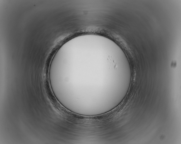 X0000095880636200801110805