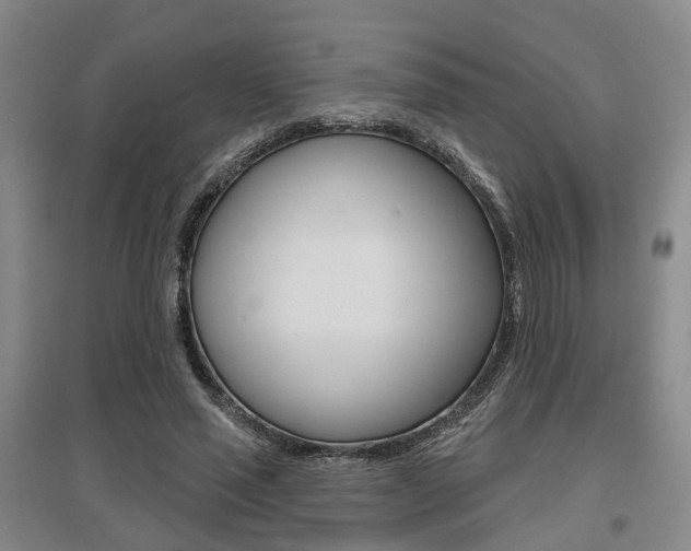 X0000095880637200801110805