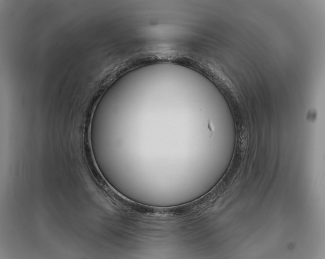 X0000095880639200801110805