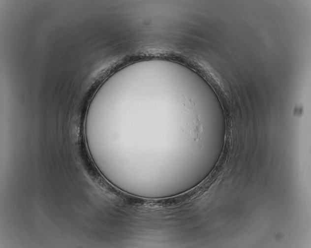 X0000095880640200801110805