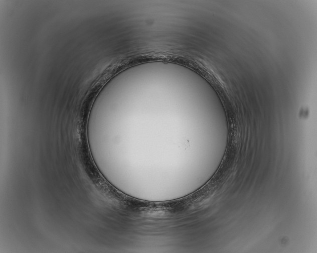 X0000095880643200801110806