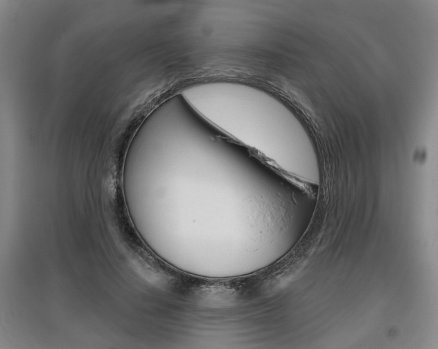 X0000095880644200801110806