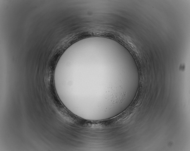 X0000095880645200801110806