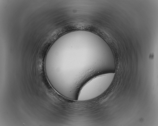 X0000095880646200801110806