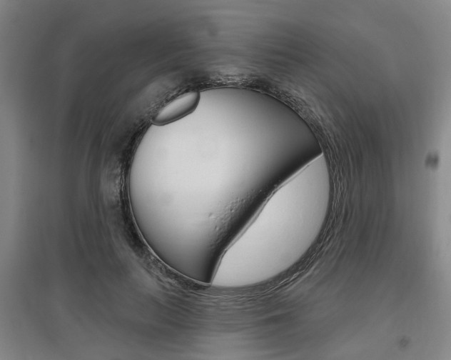 X0000095880647200801110806