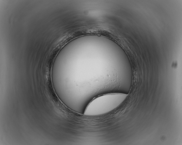 X0000095880648200801110806