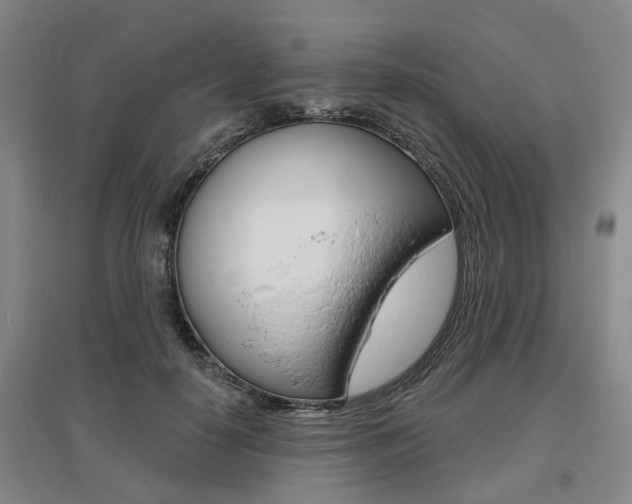 X0000095880650200801110806
