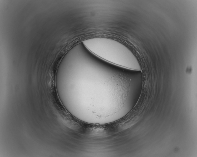 X0000095880651200801110806