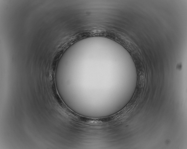 X0000095880654200801110806