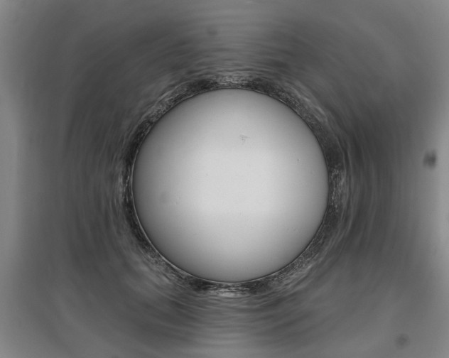 X0000095880655200801110806