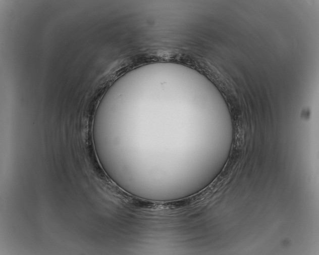 X0000095880656200801110806