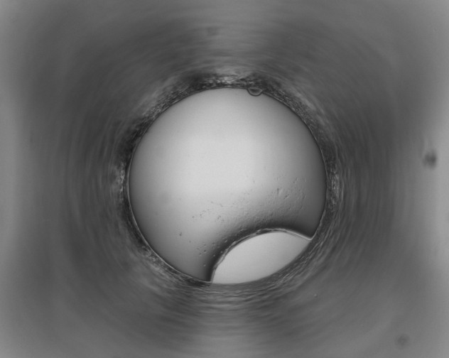 X0000095880657200801110806