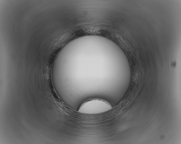 X0000095880658200801110806