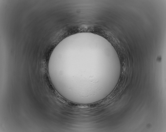 X0000095880659200801110806