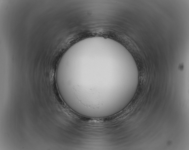 X0000095880660200801110806