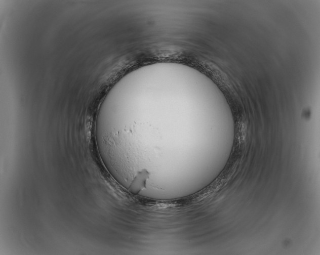 X0000095880664200801110806