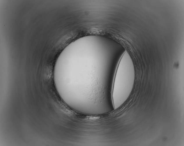 X0000095880665200801110806
