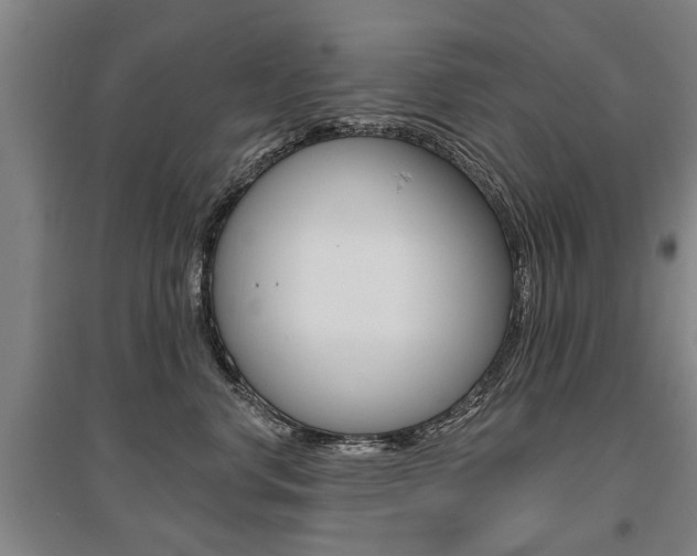 X0000095880668200801110806