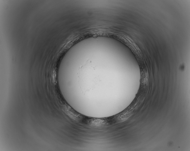 X0000095880669200801110806